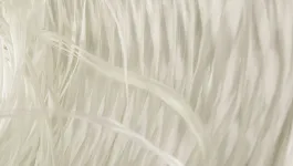 fiberglass-rotator-1-tablet